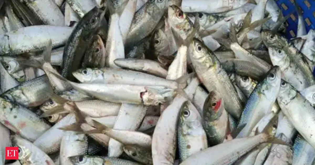 India may launch PLI for seafood MSMEs to surge exports and value added products