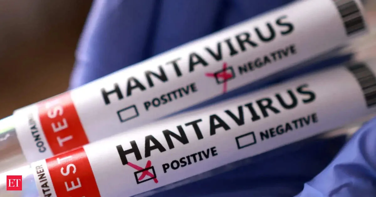 Hantavirus Cases in India Assured Isolated NIV Chief Says No Immediate Public Health Threat