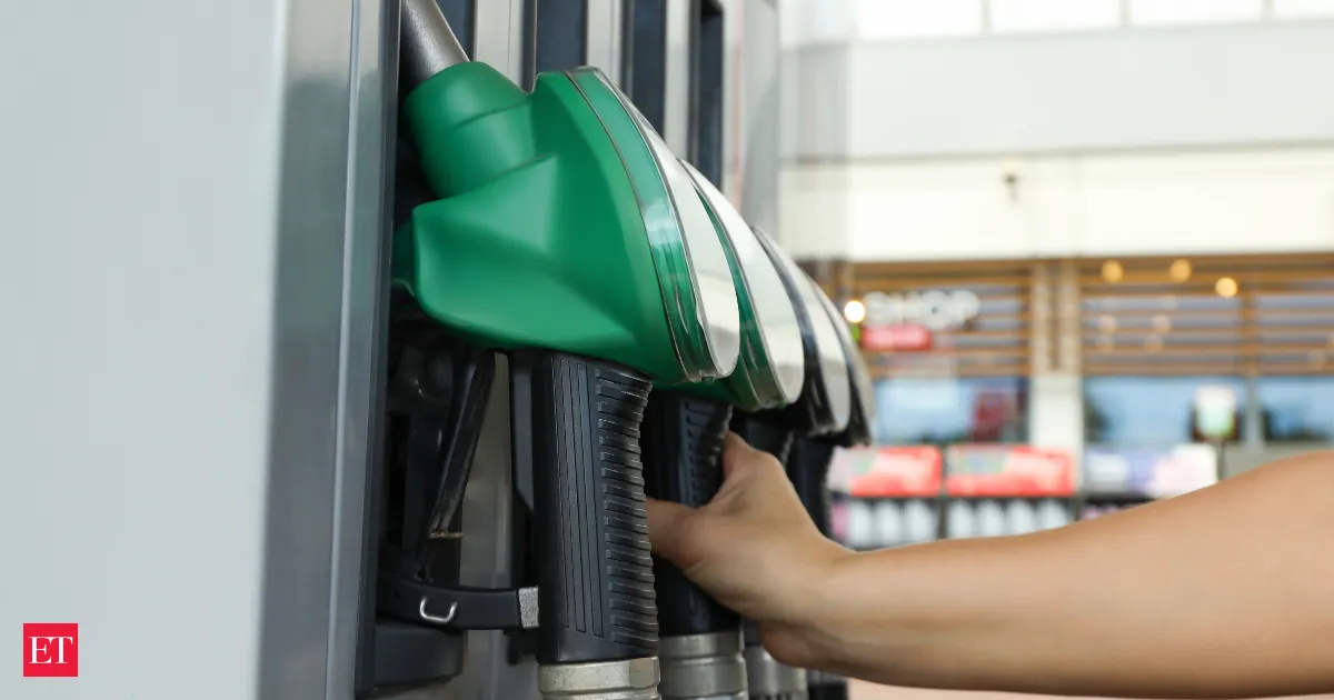 India considers boosting petrol ethanol blending to 25% to cut crude imports fast