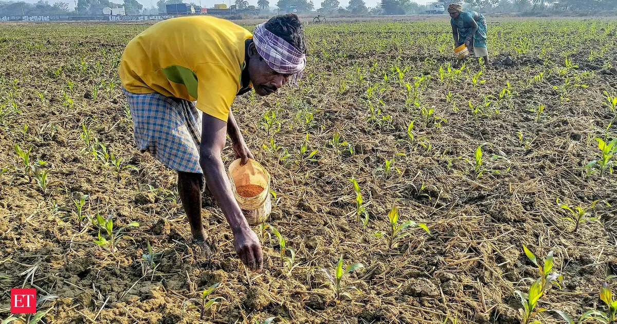 Government floats mega fertiliser tender to import NPK and ammonium sulphate before June sowing season