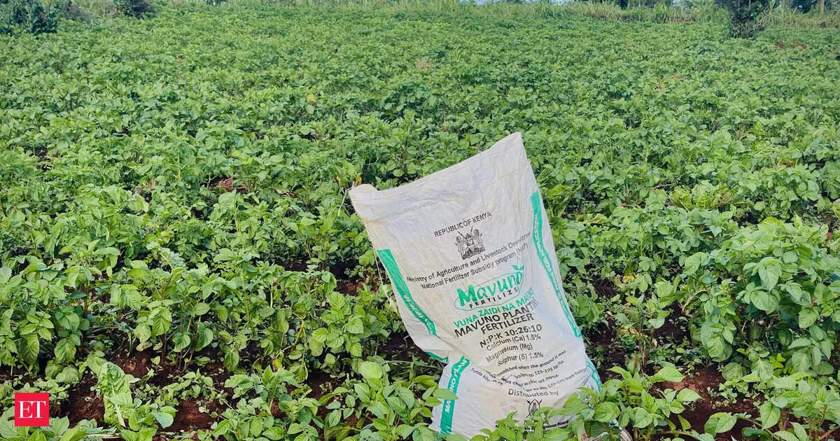 China cracks down on fertilizer exports as ammonium sulphate rules tighten amid soaring global prices