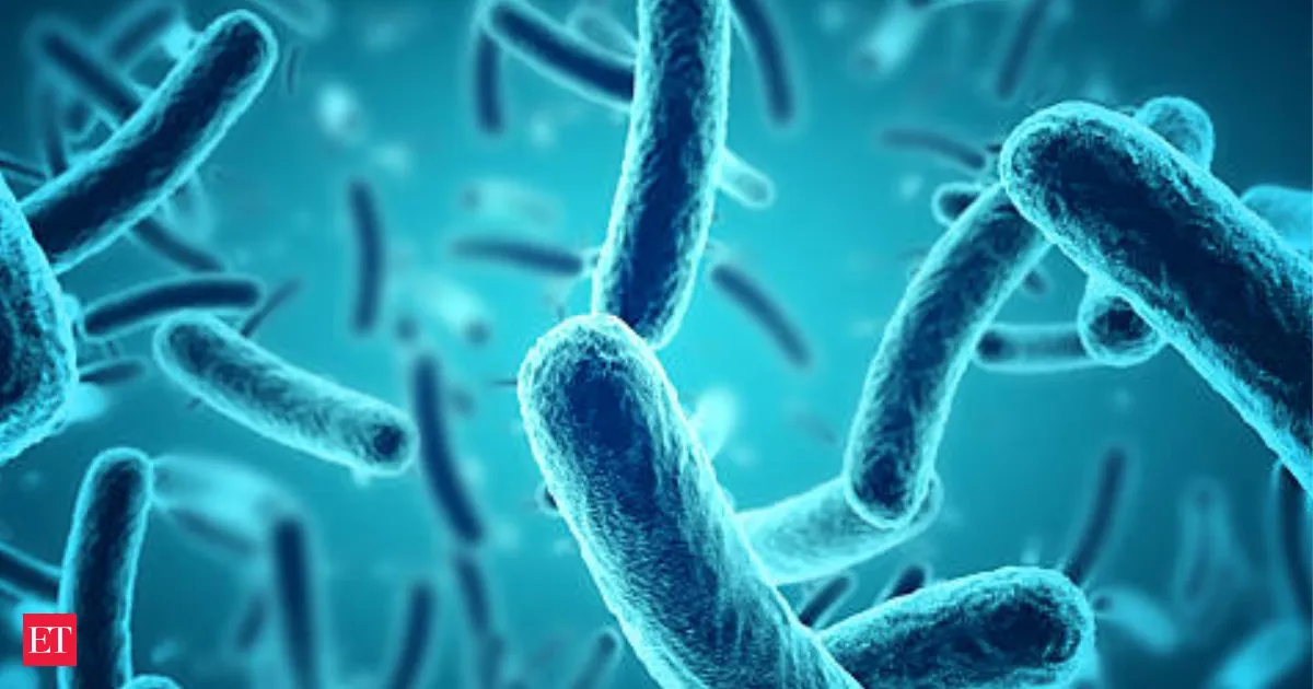 Venus Remedies gets Argentina marketing approval for antibiotic Ceftriaxone to expand Latin America footprint