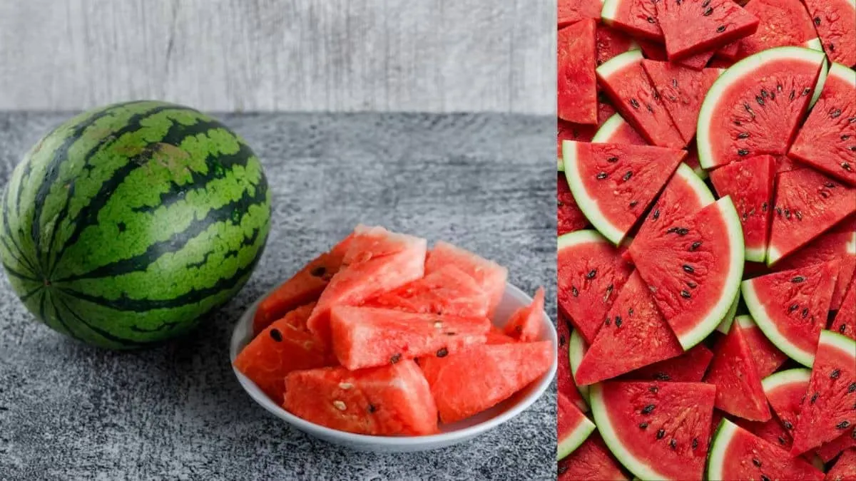 MP man dies after eating watermelon as son fights for life days after Chhattisgarh death