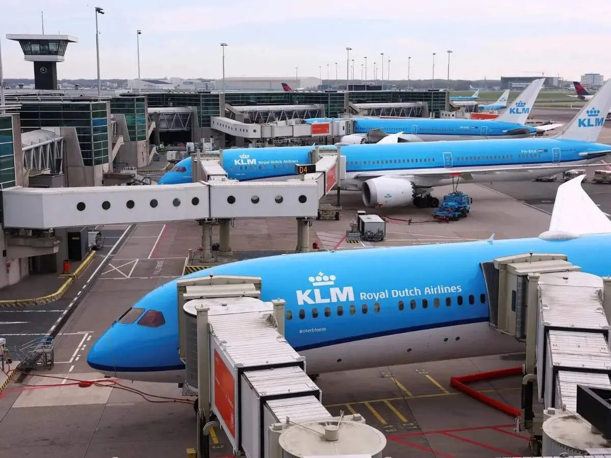 KLM Flight Attendant Tested for Hantavirus After Mild Symptoms in Amsterdam