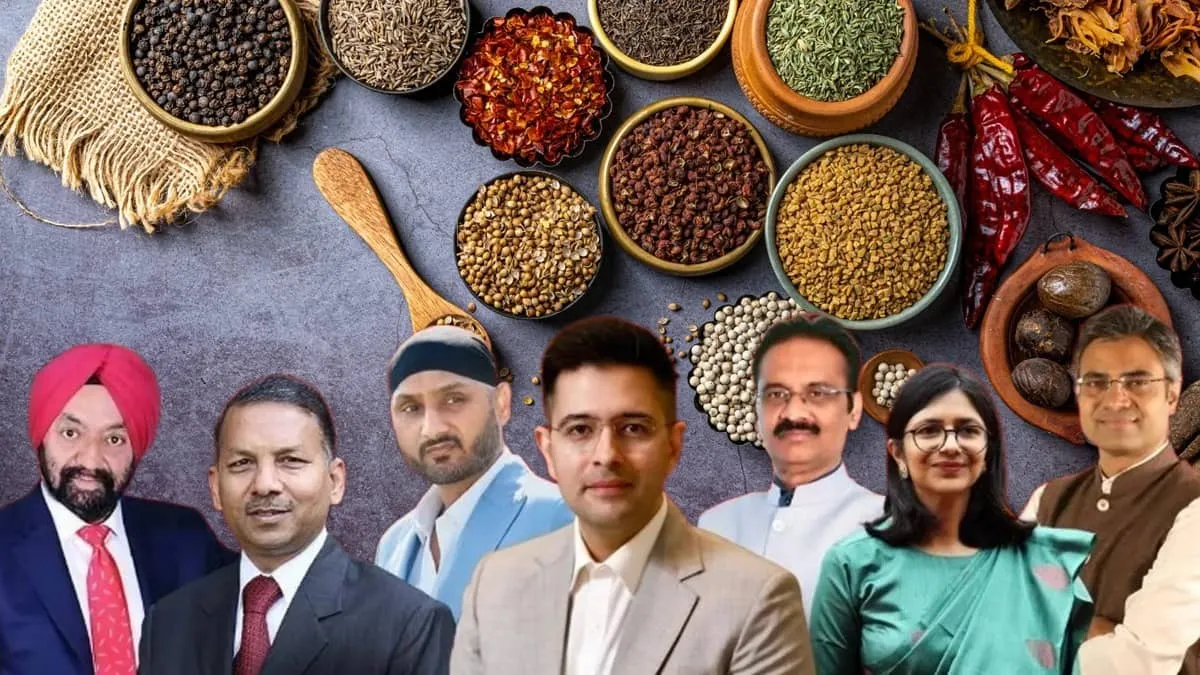 Punjab CM Bhagwant Mann mocks 7 AAP MPs with spice vegetable jab after defection