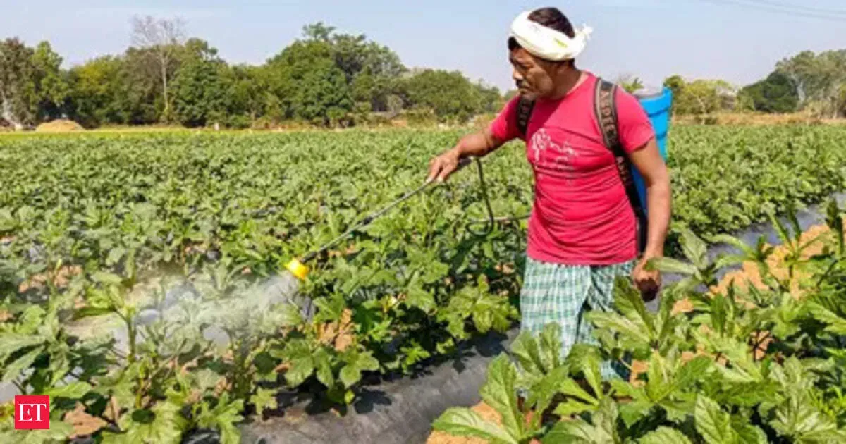 Govt pledges adequate fertiliser supply ahead of Kharif as stocks stay high