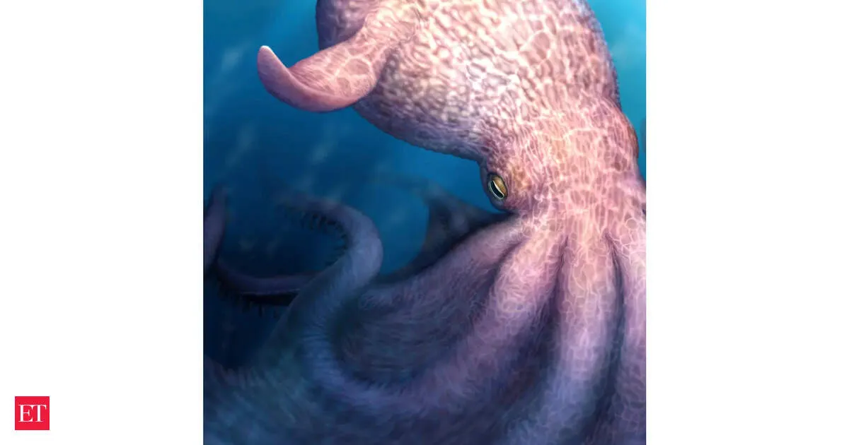 Cretaceous Kraken terrorized Late oceans using crushing bite power and puzzling jaw wear