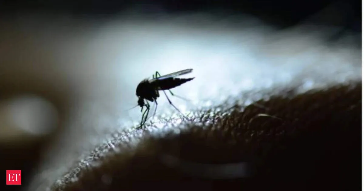 April rains drive a dengue surge in Delhi with mosquito breeding exploding across neighborhoods