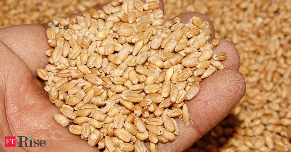 India raises wheat export quota to 5 million tons as new crop supply starts
