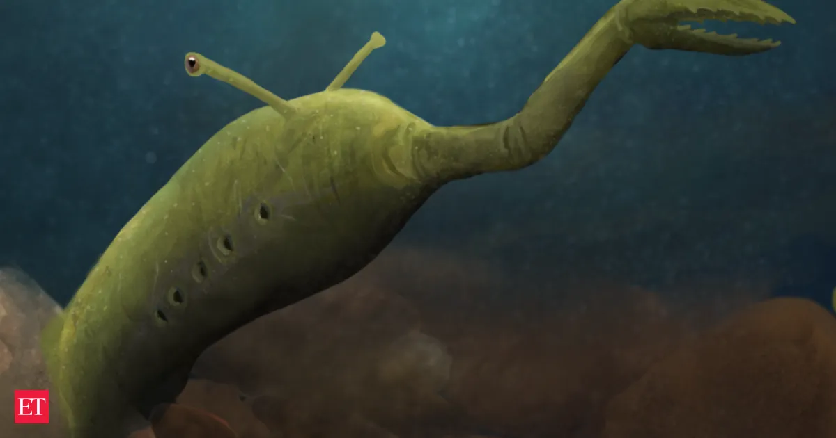 Tully Monster Fossil Still Defies Classification After Decades of Research