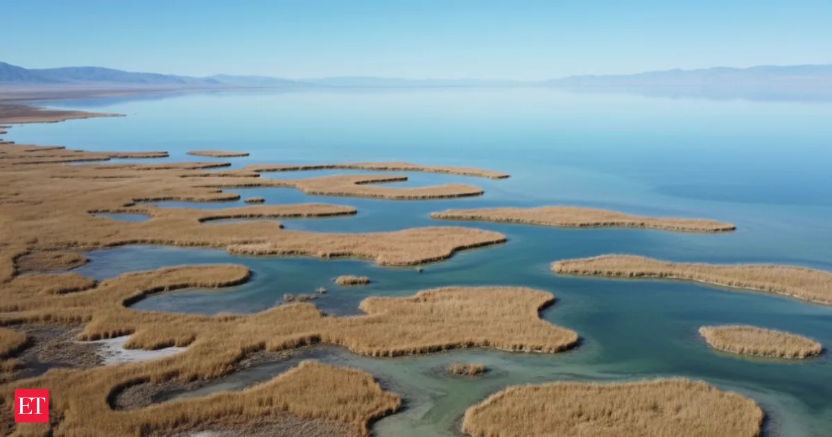 Scientists map a giant freshwater lake under Utah’s Great Salt Lake and upend expectations for the basin