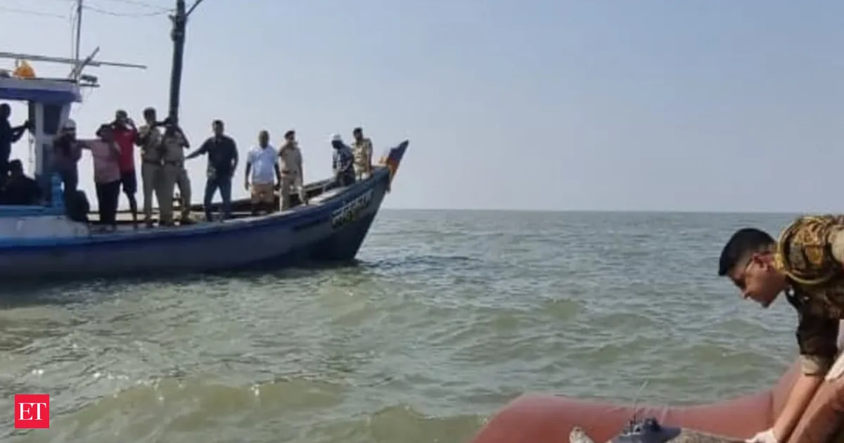Incredible turtle journey 3500 km across Arabian Sea nearly hits Oman before returning home