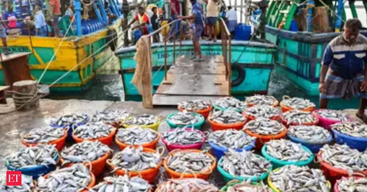 India seafood exports jump 11.2% to 8.28 billion despite US dip in 2025 26