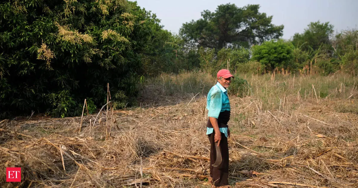 NERAMAC plans GI access for 800 farmers across North East processed products