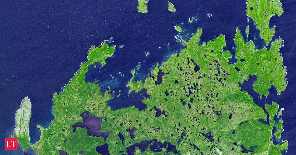 1960 Discovery in Newfoundland Confirmed Norse Presence Decades Before Columbus, and It Changed History