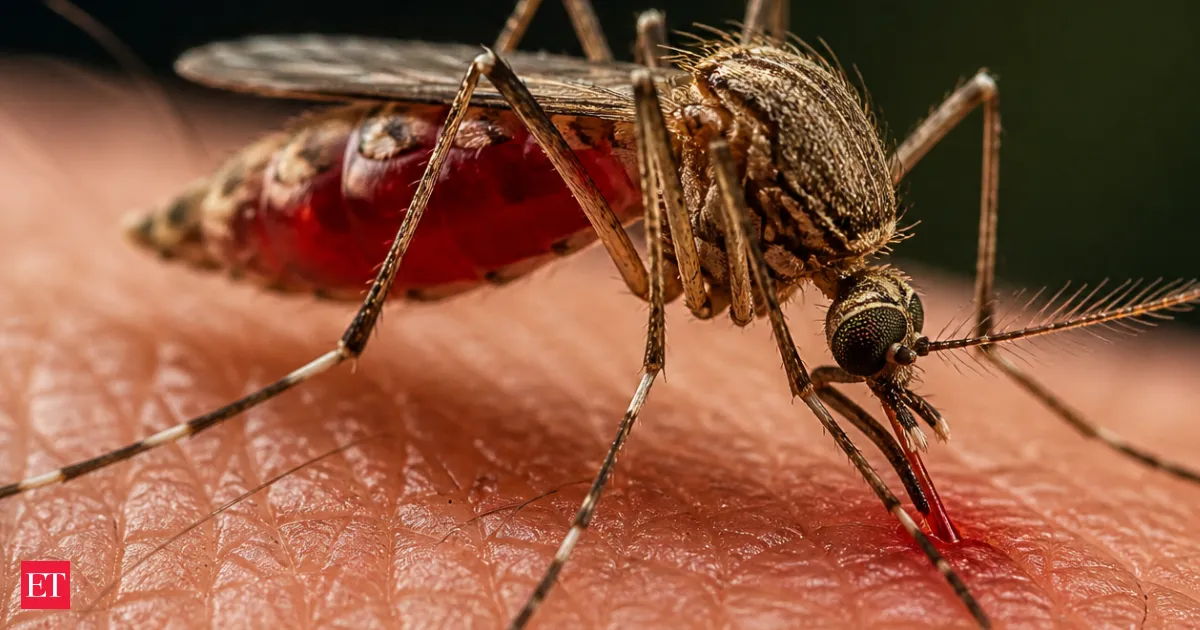 Malaria shaped early humans where they could live and migrate across Africa