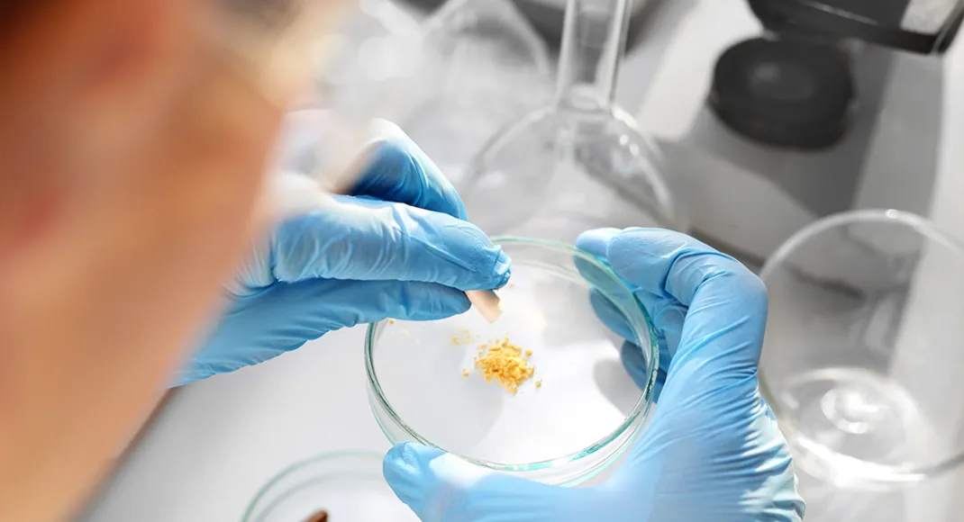 Sun Pharma Torrent Alkem face scrutiny over inferior medicines and a leaky supply chain