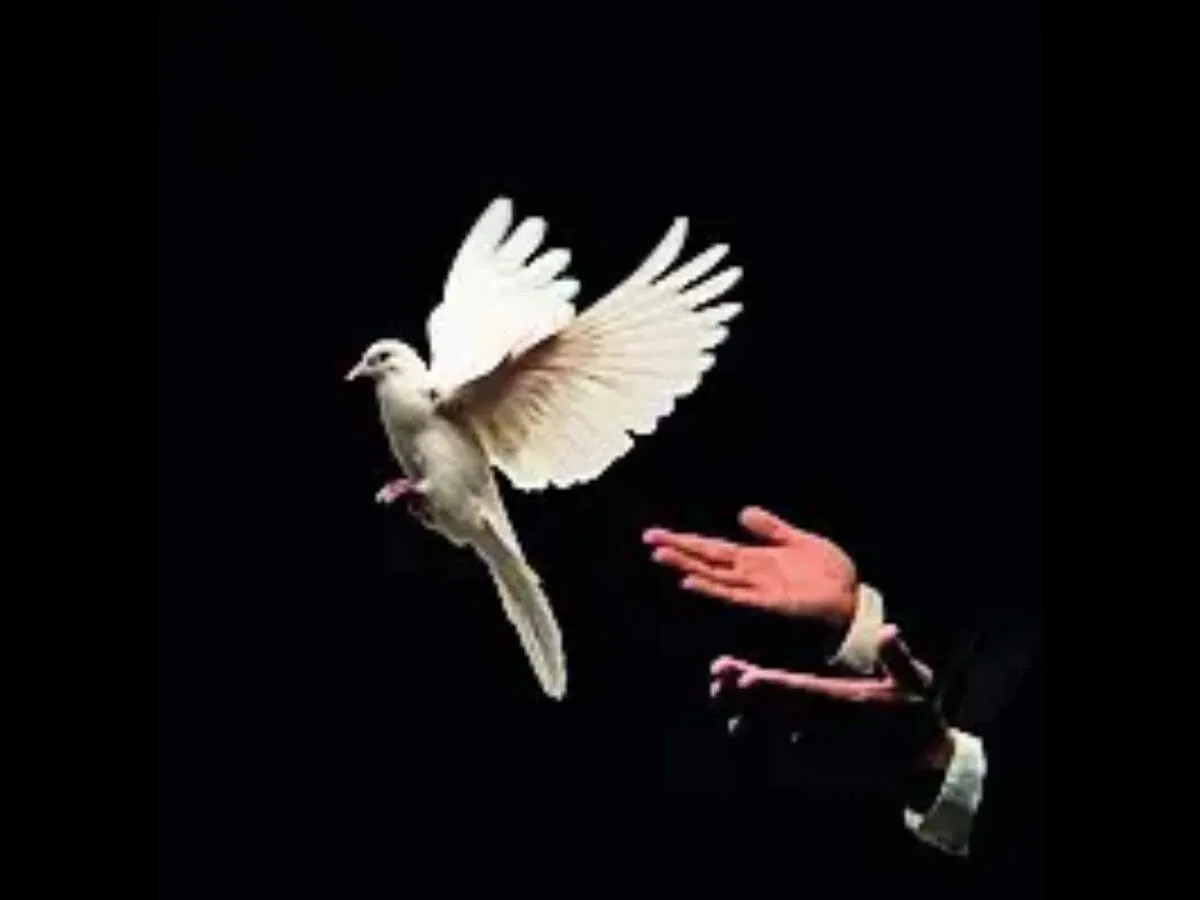 Markets rally on Persian Gulf hopes as crude slides and US Iran talks return