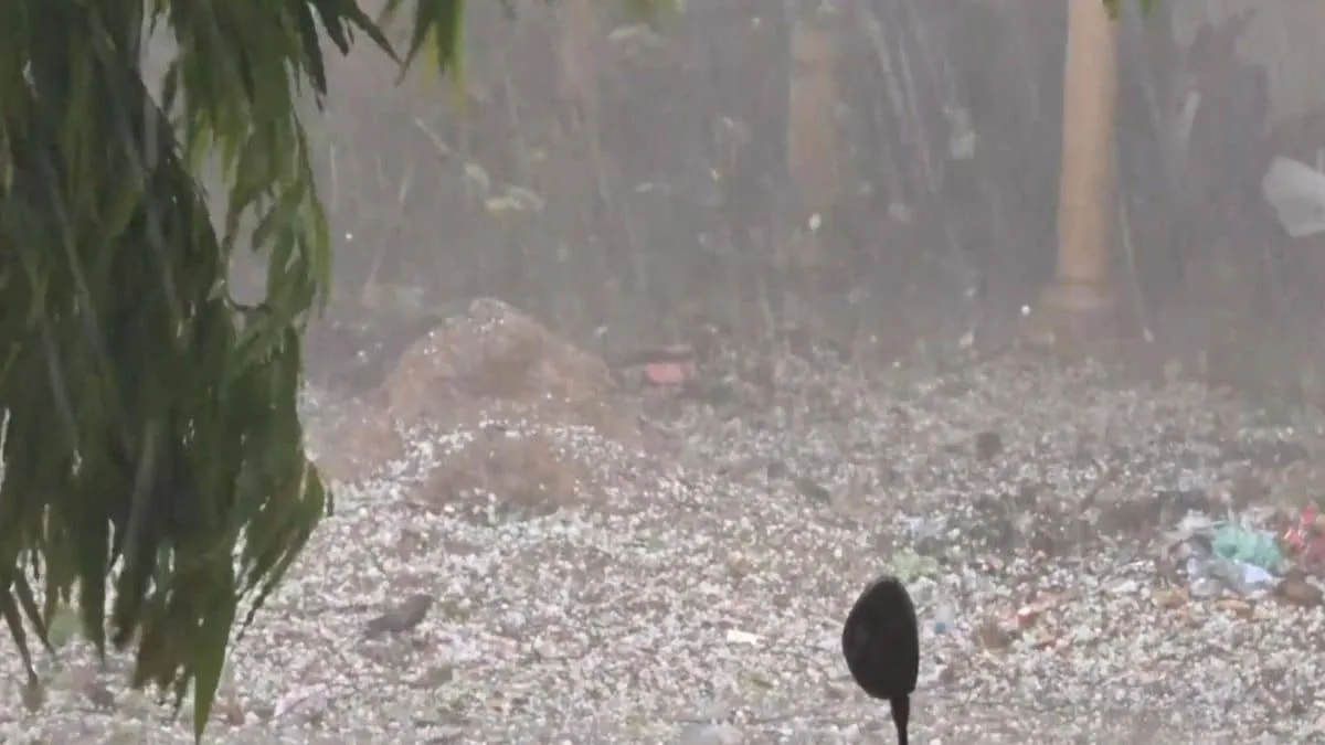 Delhi NCR hit by sudden hail and rain as Western Disturbance breaks blistering heat
