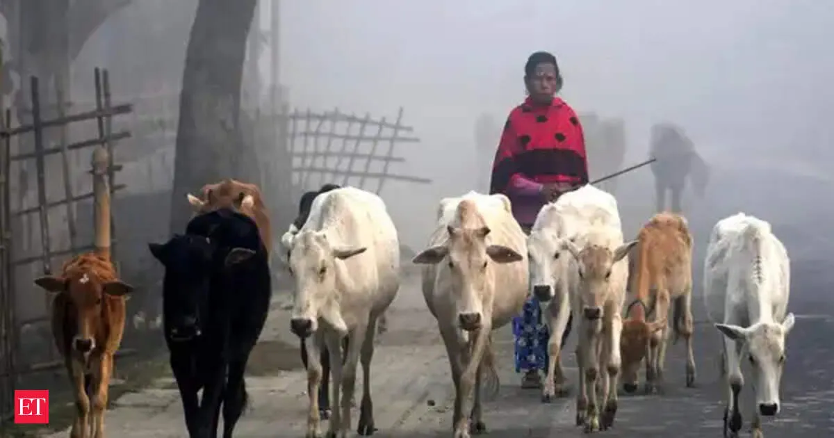 West Bengal makes fit certificate mandatory before animal slaughter under new crackdown rules