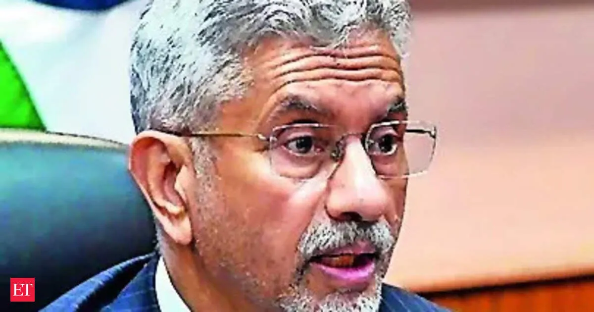 Jaishankar hails India Africa ties as stability beacon as digital summit nears May 31