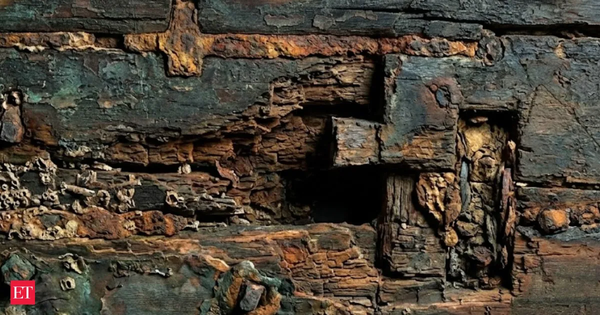 Ancient Roman Shipwreck Study Reveals a 2200 Year Old Waterproofing Secret