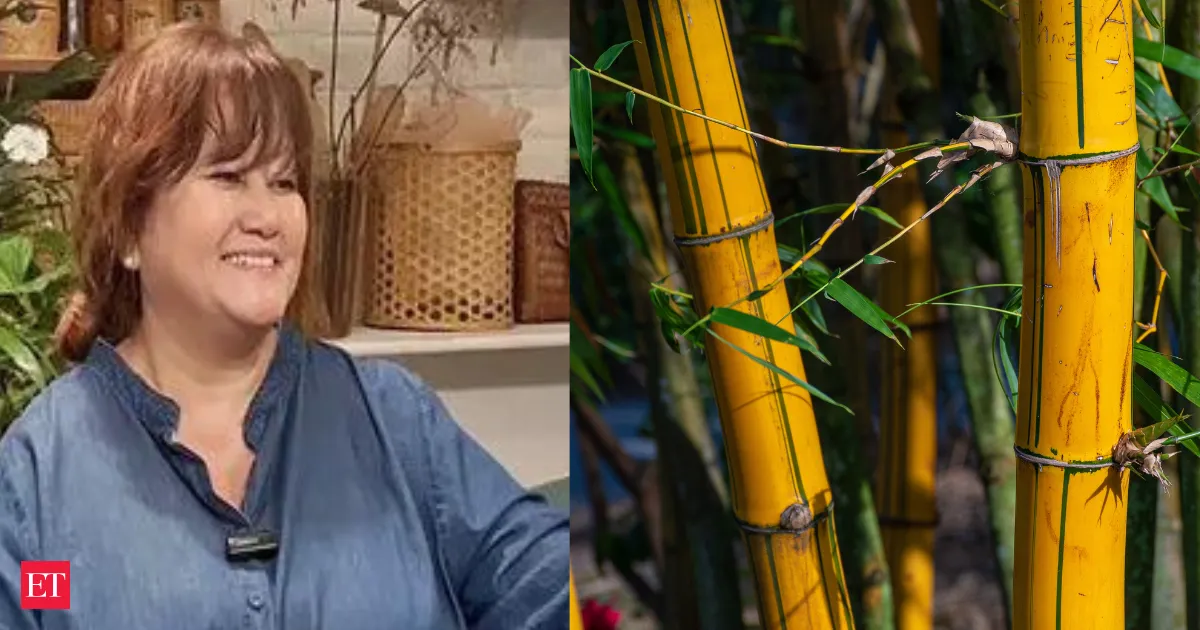Sikkim bamboo entrepreneur gets Modi praise in Mann Ki Baat and changes the idea of opportunity