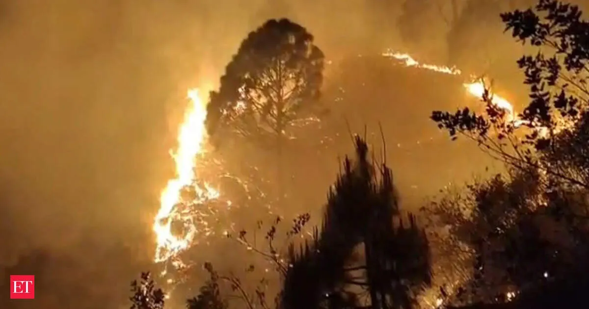 Uttarakhand sees 20 forest fires in Rudraprayag with 15 hectares damaged