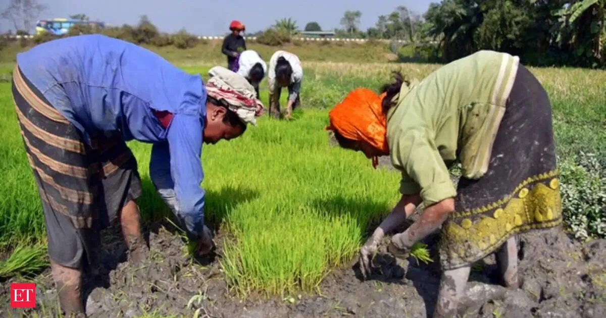 Centre hikes MSP for 14 kharif crops moong jumps 61 percent biggest boost for farmers