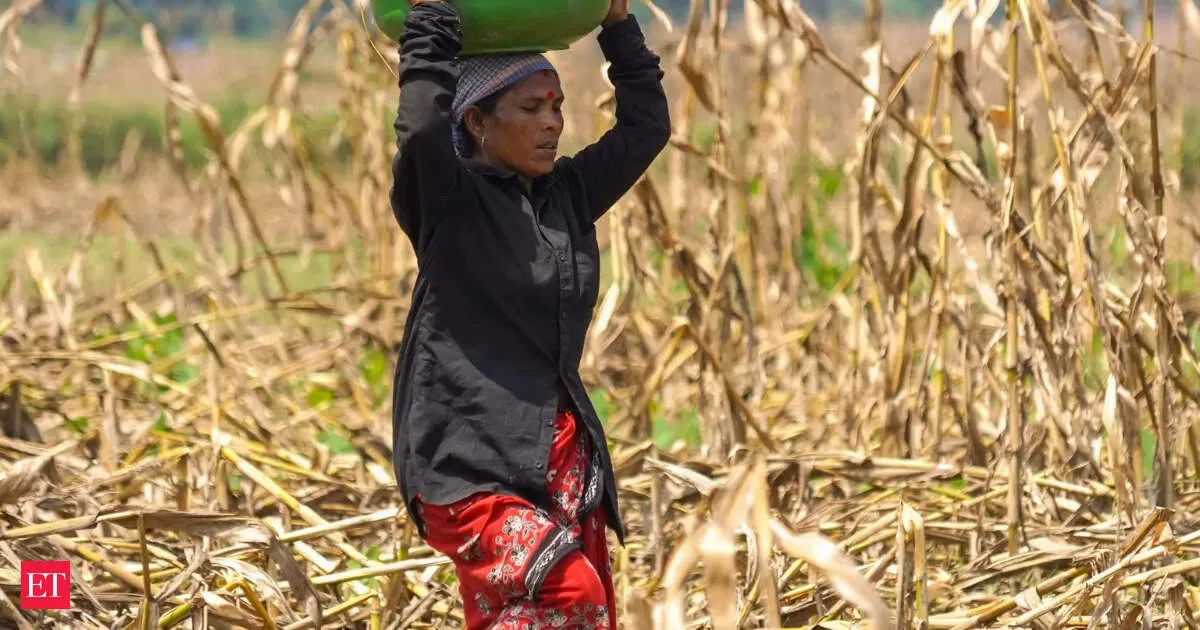 Farm suicide deaths fall to 10546 in 2024 as second yearly decline continues