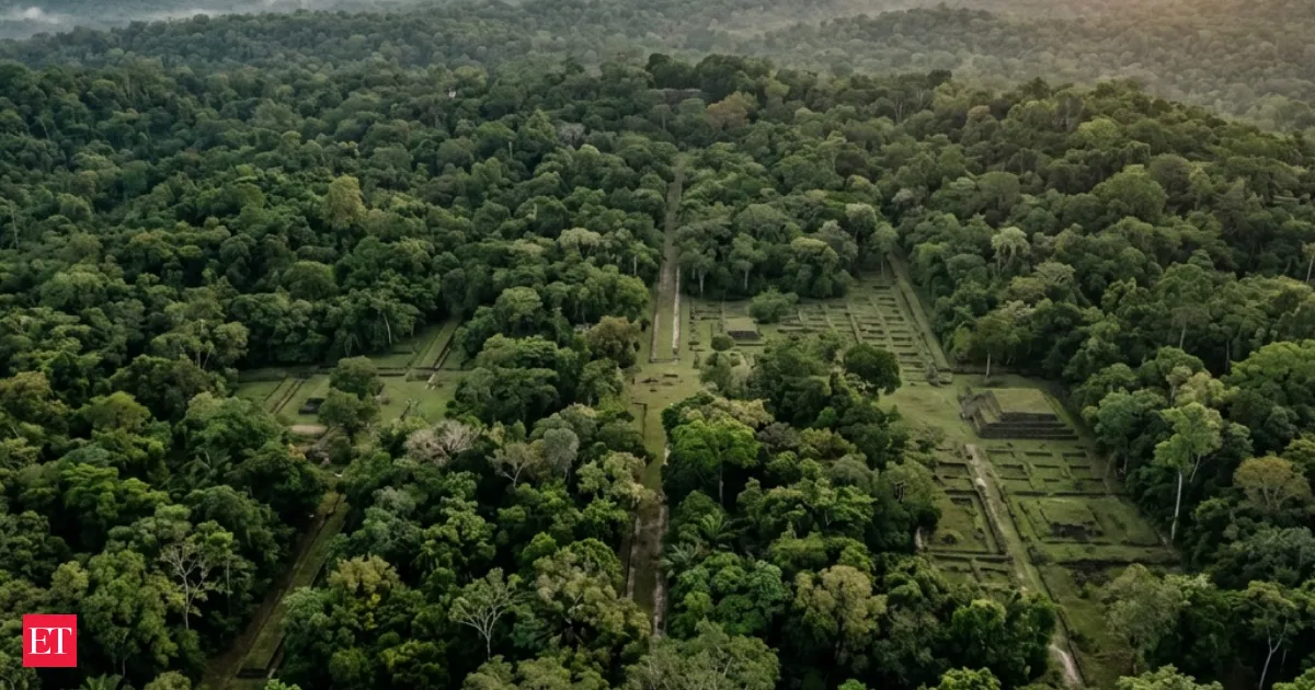 LiDAR reveals a hidden city grid under tropical forests changing archaeology forever