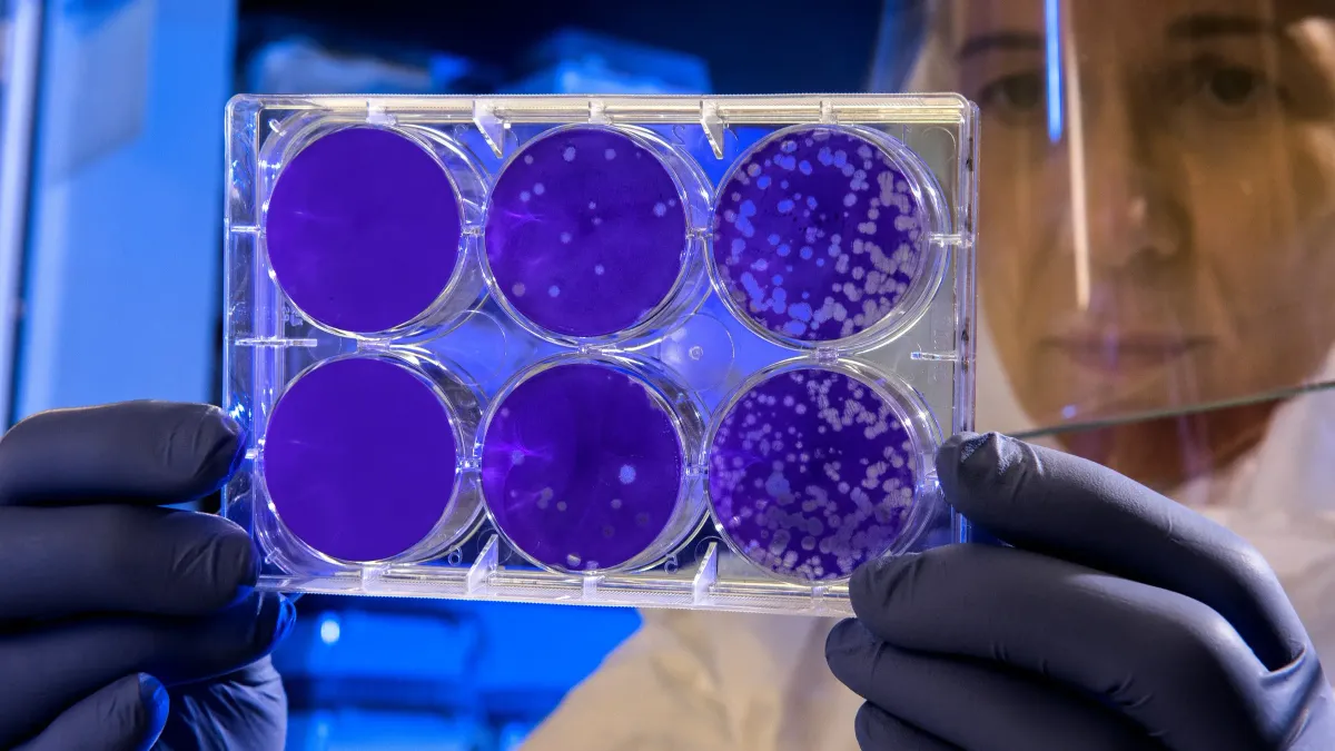 Study reveals oxygen flips mouth bacteria communication and enzymes strengthen healthy microbes