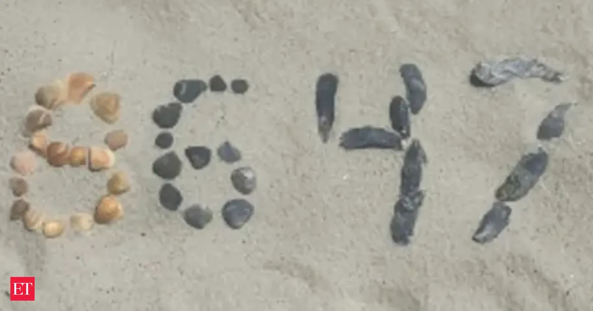 Seashell code 8647 and James Comey Trump feud Explainer behind the latest indictment claim