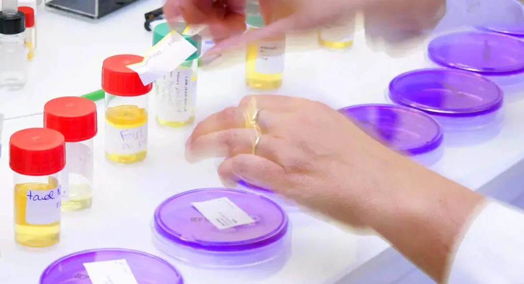 Orchid Pharma rebounds as its first novel antibiotic wins US and EU approvals