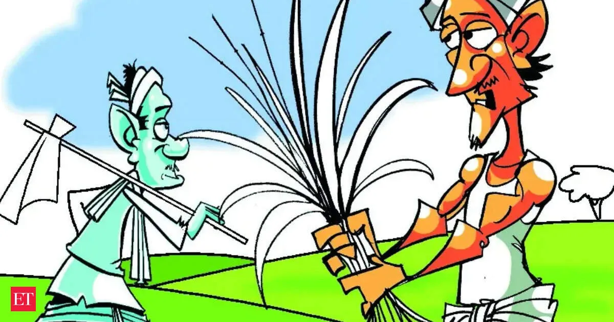 Farmers rethink kharif crop choice as monsoon fears spark shift from paddy to soybean and pulses