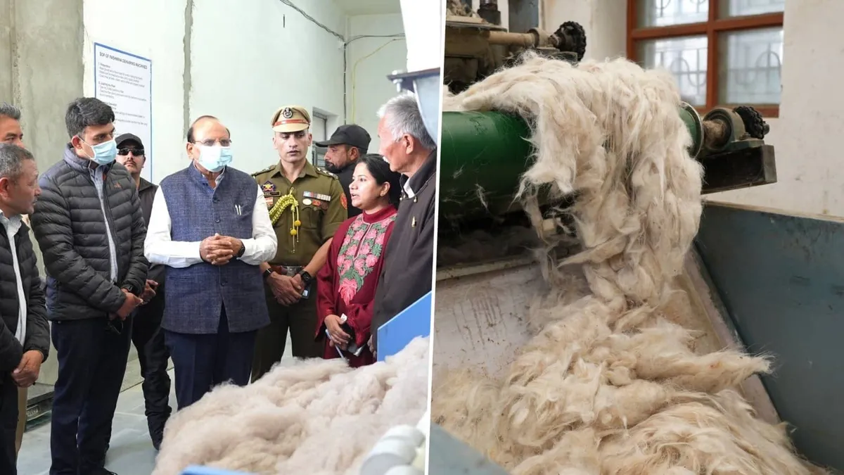 Ladakh modernises pashmina production to plug centuries old herding into global supply chains