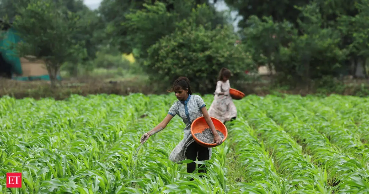 India farm output crosses record 357 million tonnes as climate resilience push grows