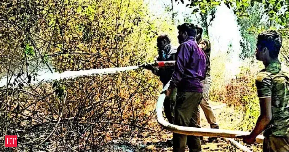 Nilgiris wildfire burns 5000 acres for days as crews fight on foot in high winds