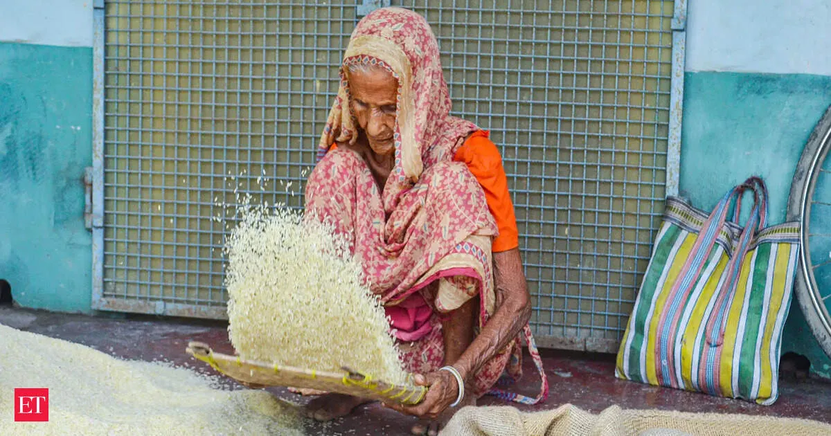 Pilibhit to host India first integrated Basmati organic training demo farm using AI survey