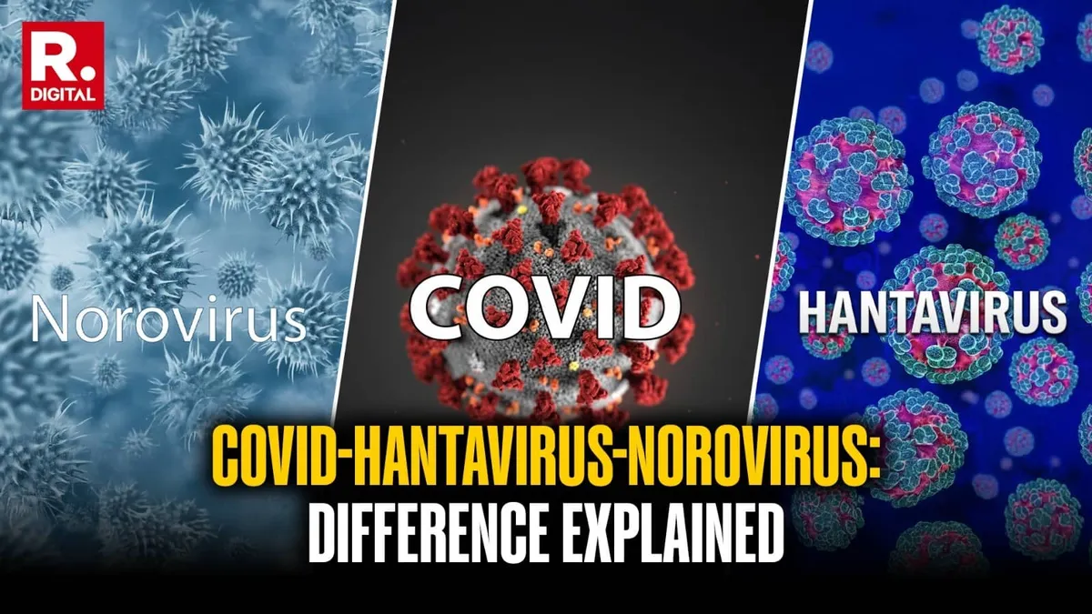 Norovirus and hantavirus outbreaks on cruise ships raise alarm how they differ from COVID-19