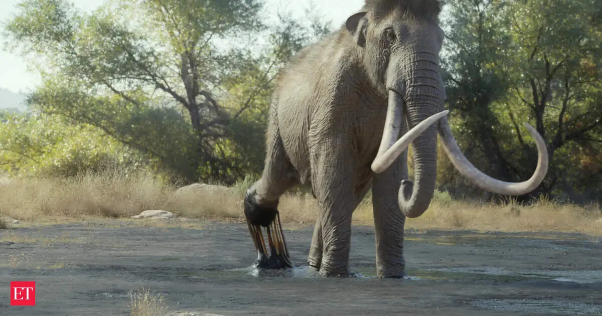 Woolly mammoths could return as scientists build artificial wombs for extinct species