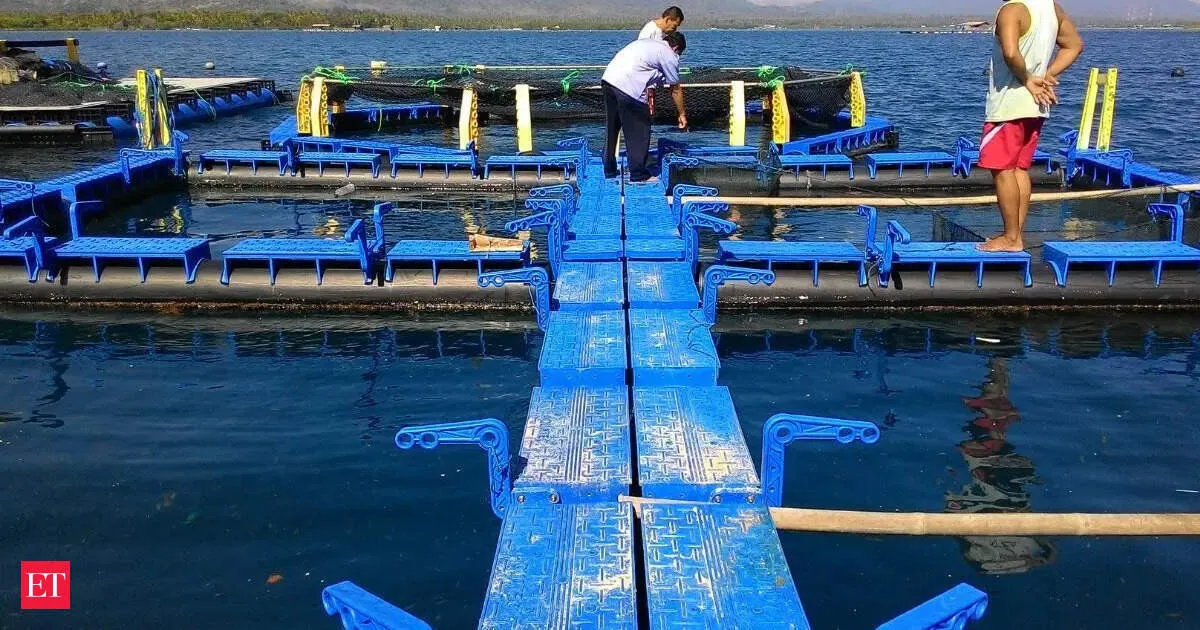 EU drafts continued aquaculture export list as India clears antimicrobial rules