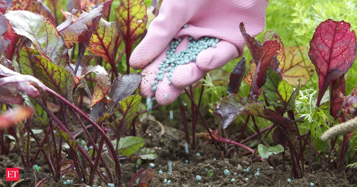 China pledges fertilizer price stability as spring planting begins amid global market jitters