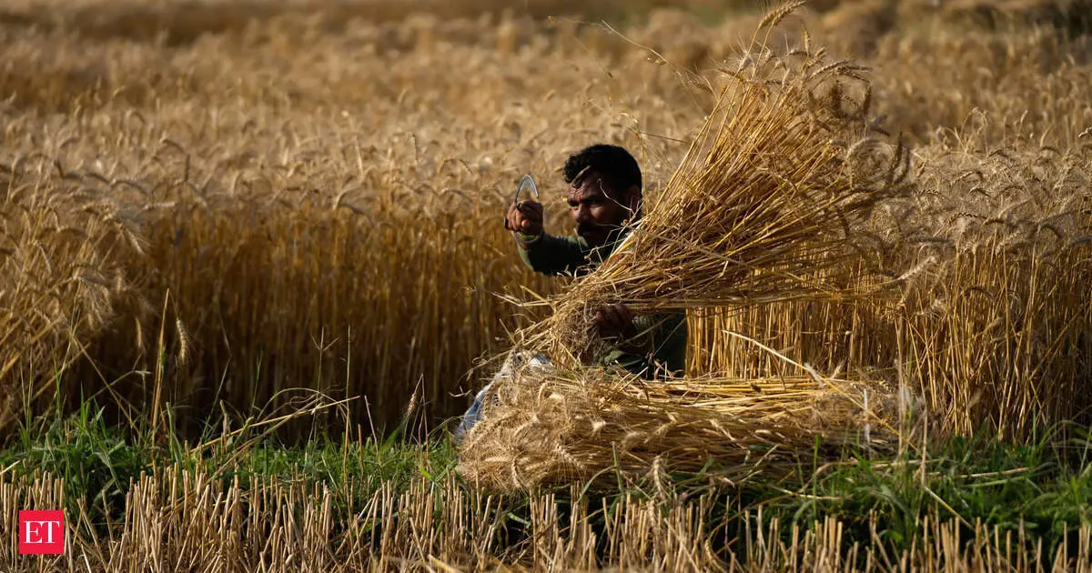 India signs DAP fertilizer deal at nearly 40 percent above pre war prices amid supply squeeze