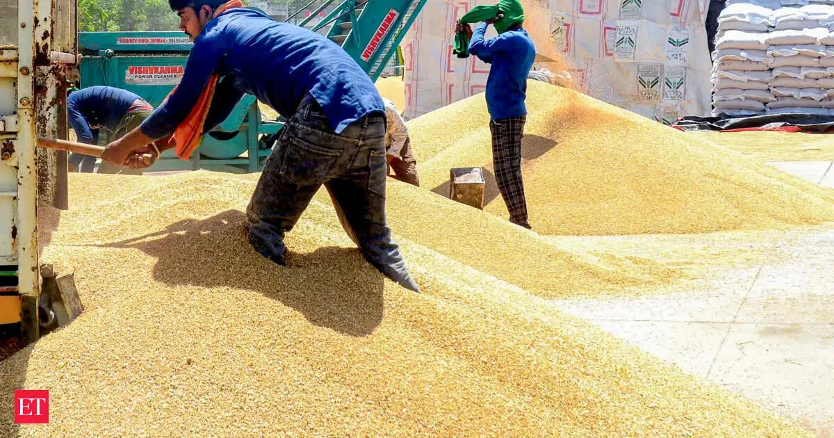 India greenlights 25 lakh tonnes more wheat exports raising total to 50 lakh tonnes