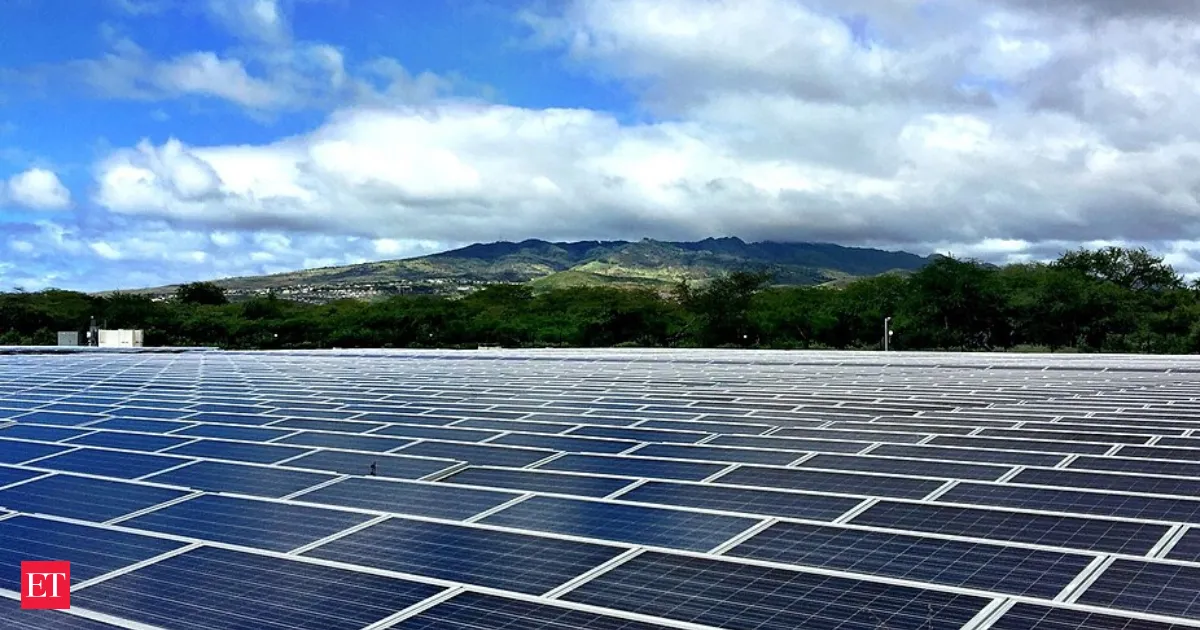 Solar farms are confusing birds and bats with lake like glare scientists warn of deadly pollution
