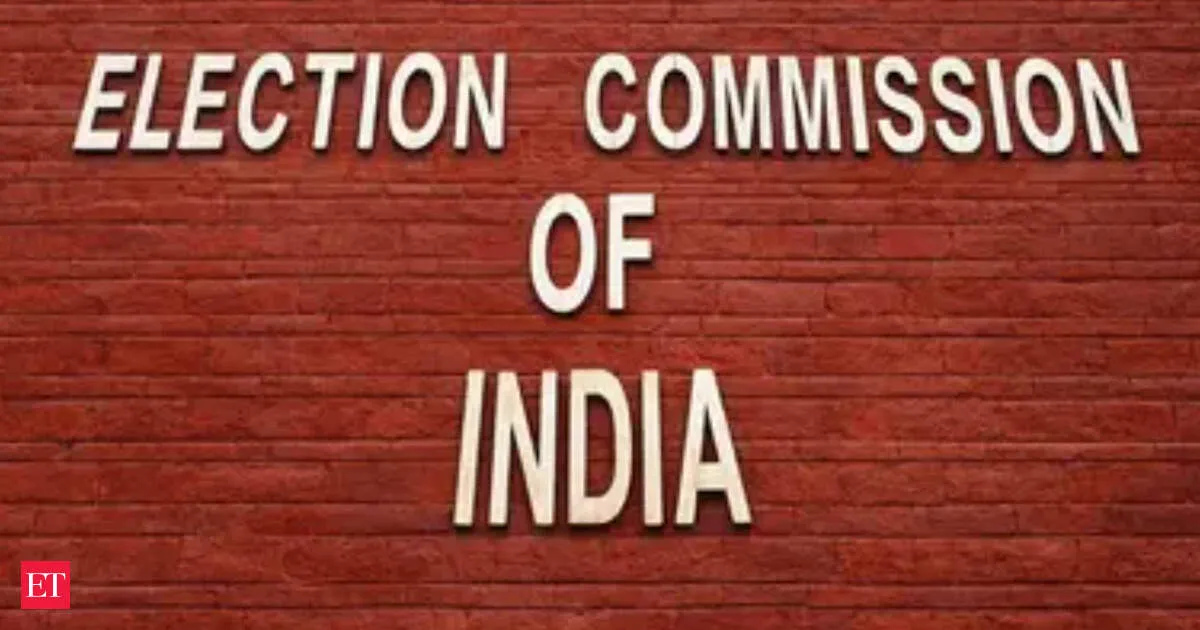 EC orders probe after foreign nationals allegedly voted in Tamil Nadu polls 10 held in Chennai