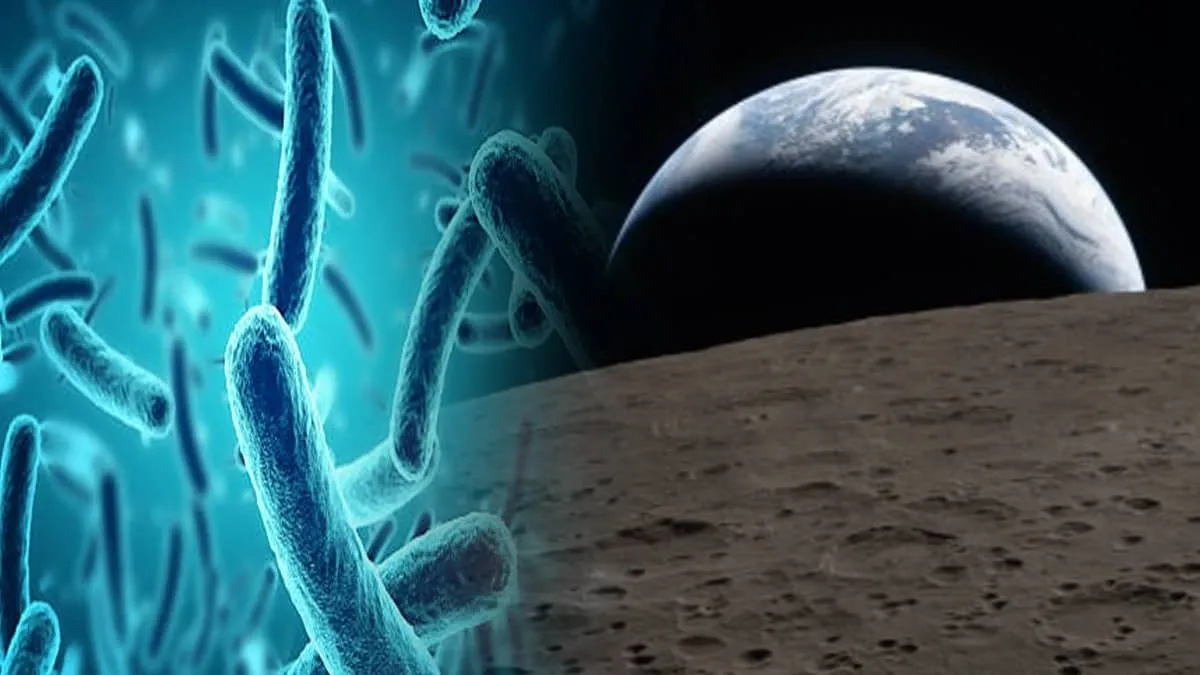 Chile prepares mission to test Earth’s toughest microbes in oxygen free space