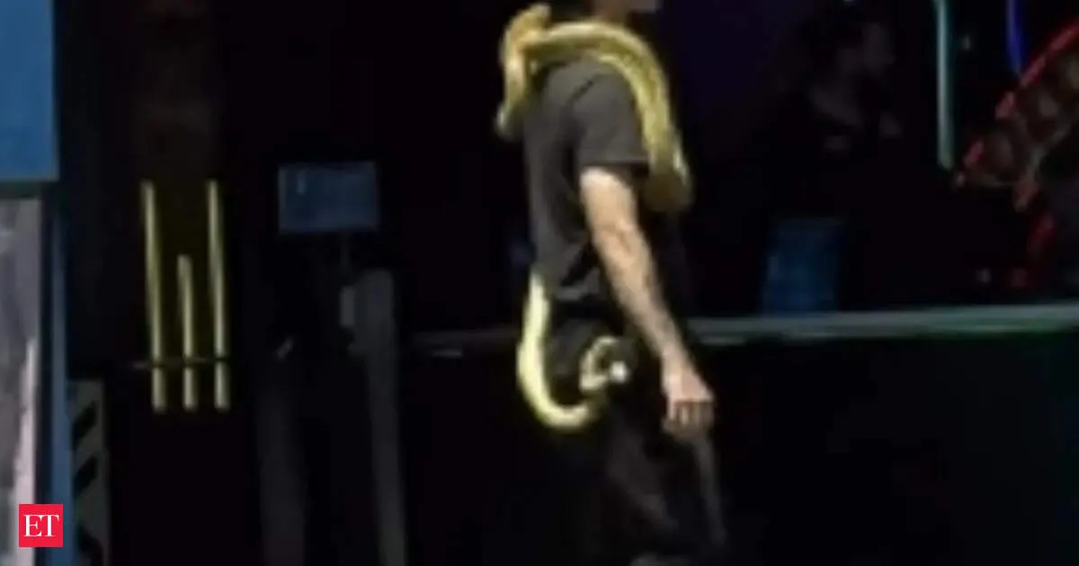Snake handler flees LAPD on Hollywood Walk of Fame after charging tourists for photos with reptiles