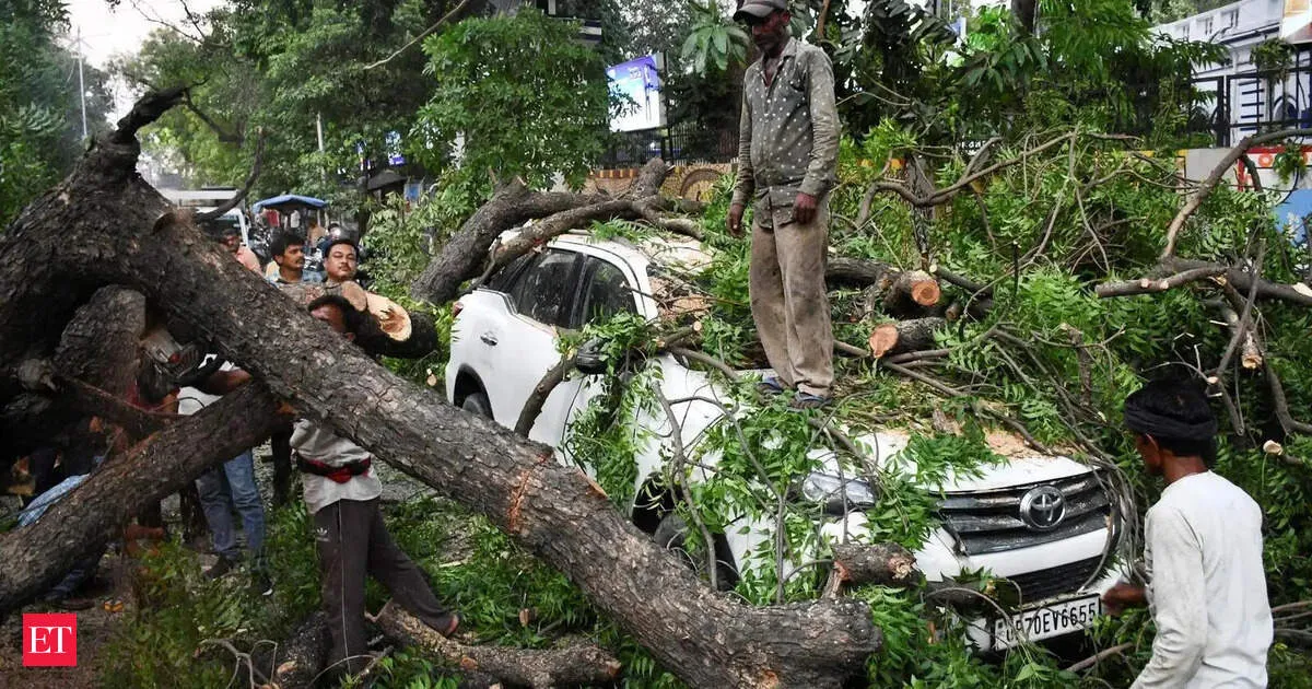 104 killed as UP braces for more thunderstorms strong winds IMD orange alerts for Lucknow Kanpur